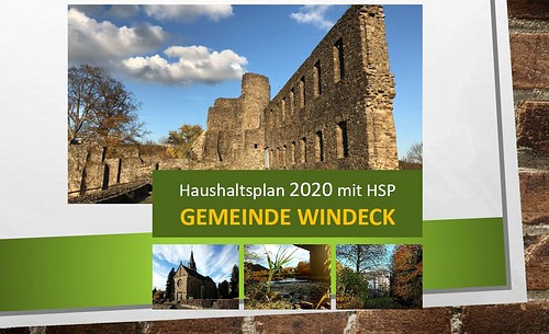 Haushaltsplan 2020